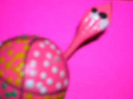 Oo Ma turtle oO